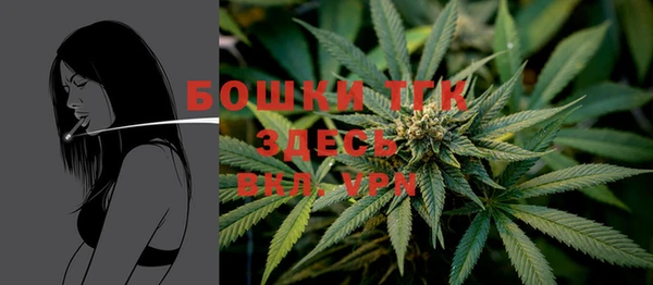 твердый Абаза