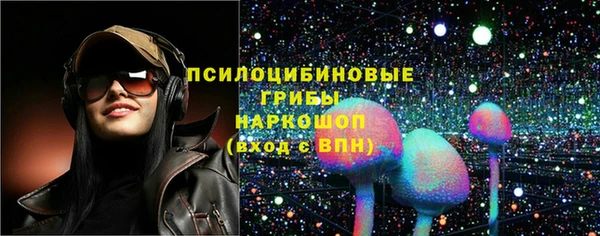 apvp Няндома