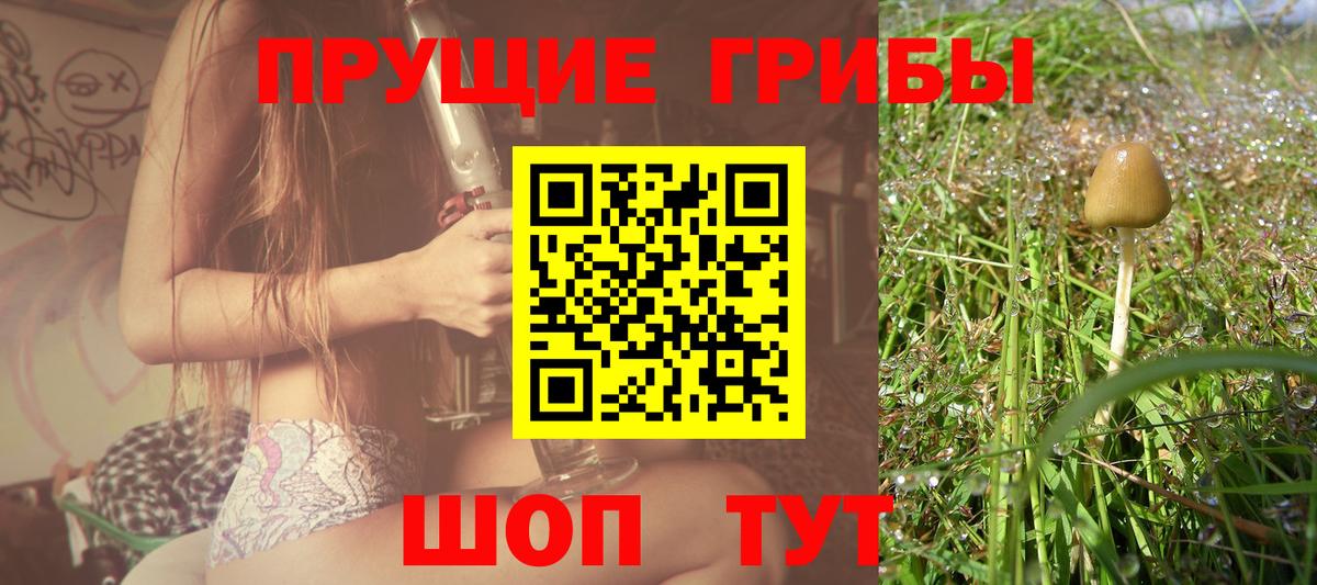 Псилоцибиновые грибы мицелий  Галлюциногенные грибы MAGIC MUSHROOMS  Вход с VPN  даркнет сайт  Кызыл 